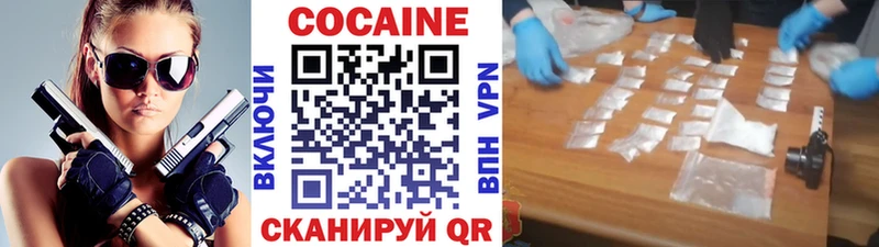 как найти наркотики  Нерчинск  MEGA ONION  Cocaine Fish Scale 