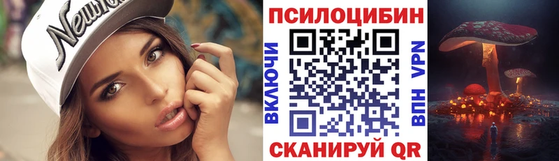 Псилоцибиновые грибы мицелий  Нерчинск 